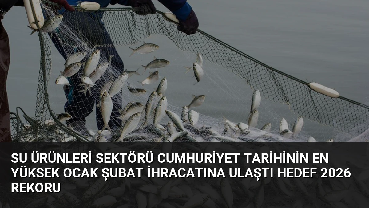 Su Ürünleri Sektörü Cumhuriyet Tarihinin En Yüksek Ocak Şubat İhracatına Ulaştı Hedef 2026 Rekoru