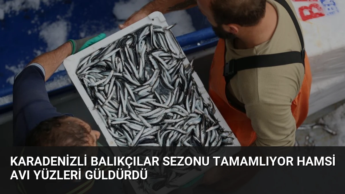 Karadenizli Balıkçılar Sezonu Tamamlıyor Hamsi Avı Yüzleri Güldürdü