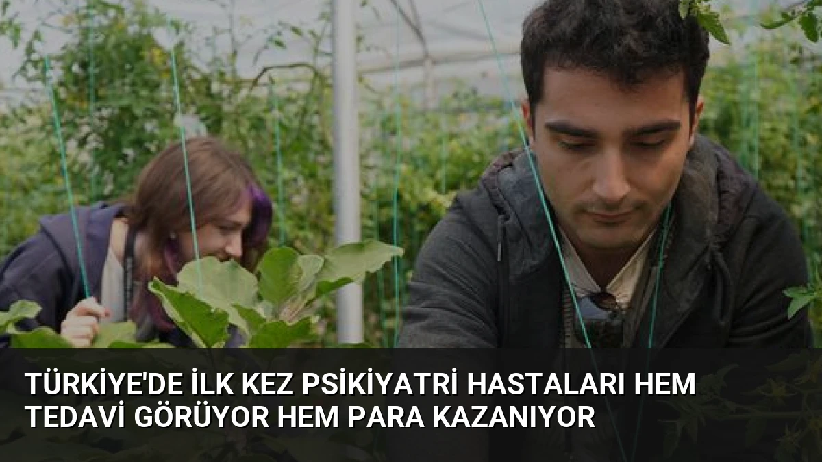 Türkiye’de İlk Kez Psikiyatri Hastaları Hem Tedavi Görüyor Hem Para Kazanıyor