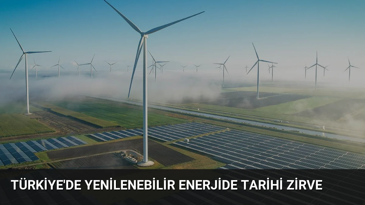 Türkiye’de yenilenebilir enerjide tarihi zirve