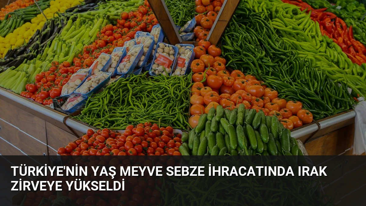 Türkiye’nin Yaş Meyve Sebze İhracatında Irak Zirveye Yükseldi