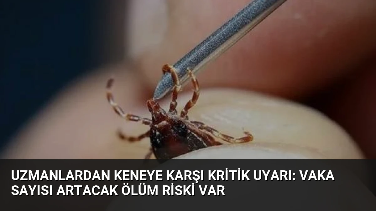 Uzmanlardan Keneye Karşı Kritik Uyarı: Vaka Sayısı Artacak Ölüm Riski Var