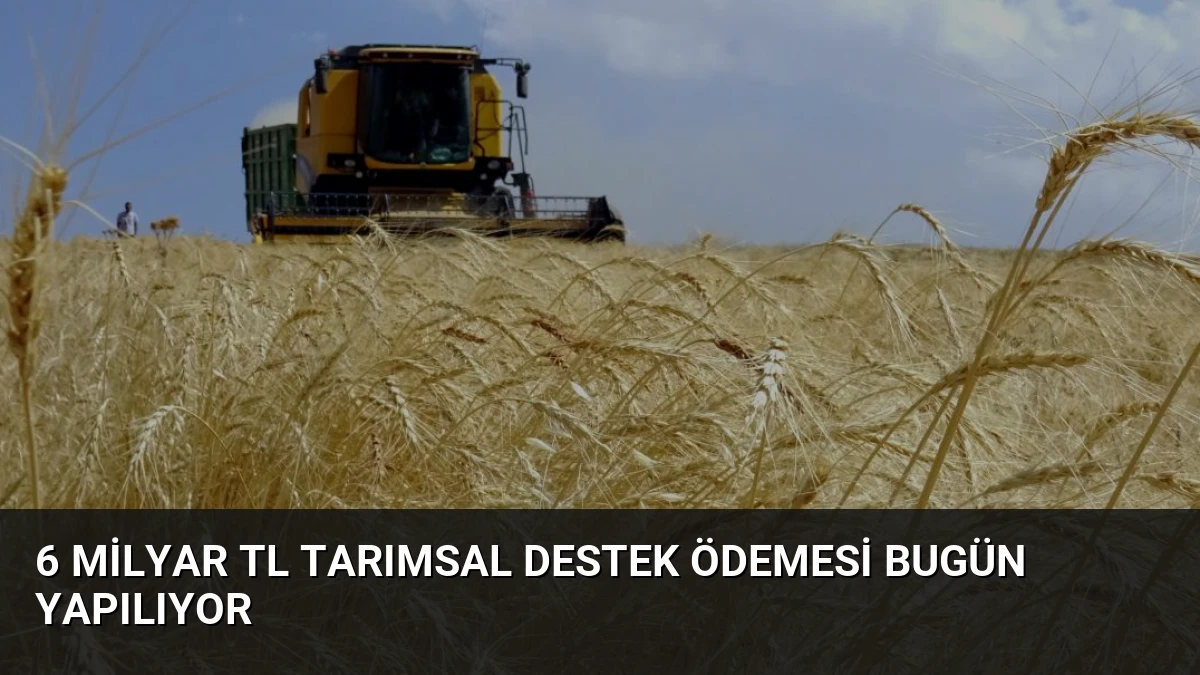 6 Milyar TL Tarımsal Destek Ödemesi Bugün Yapılıyor