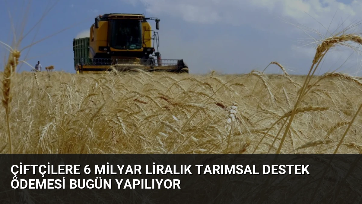Çiftçilere 6 Milyar Liralık Tarımsal Destek Ödemesi Bugün Yapılıyor