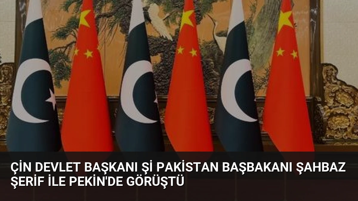 Çin Devlet Başkanı Şi Pakistan Başbakanı Şahbaz Şerif ile Pekin’de Görüştü