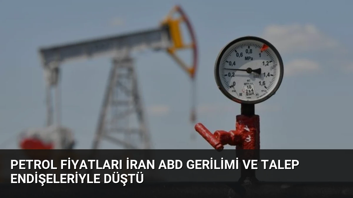 Petrol Fiyatları İran ABD Gerilimi ve Talep Endişeleriyle Düştü
