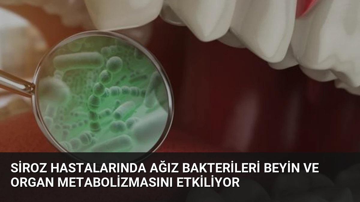 Siroz Hastalarında Ağız Bakterileri Beyin ve Organ Metabolizmasını Etkiliyor