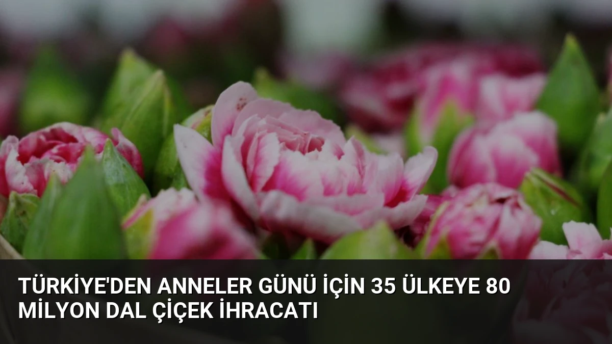 Türkiye’den Anneler Günü İçin 35 Ülkeye 80 Milyon Dal Çiçek İhracatı