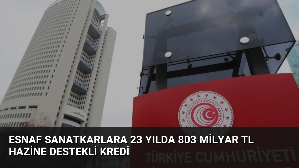 Esnaf Sanatkarlara 23 Yılda 803 Milyar TL Hazine Destekli Kredi