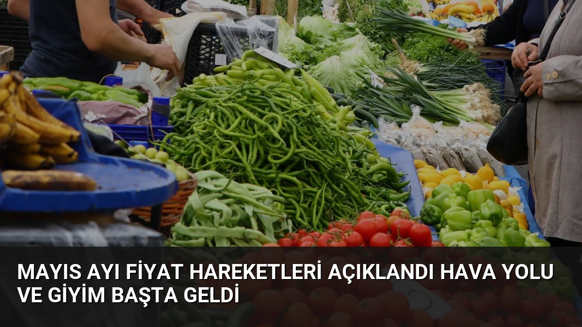 Mayıs Ayı Fiyat Hareketleri Açıklandı Hava Yolu ve Giyim Başta Geldi
