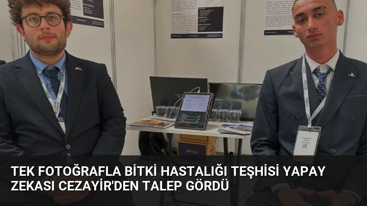 Tek Fotoğrafla Bitki Hastalığı Teşhisi Yapay Zekası Cezayir’den Talep Gördü