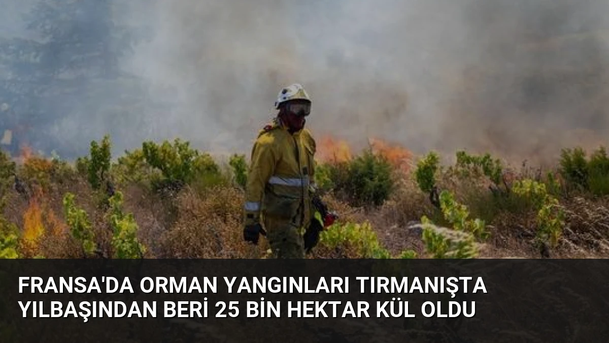 Fransa’da Orman Yangınları Tırmanışta Yılbaşından Beri 25 Bin Hektar Kül Oldu