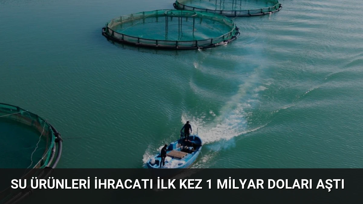 Su Ürünleri İhracatı İlk Kez 1 Milyar Doları Aştı