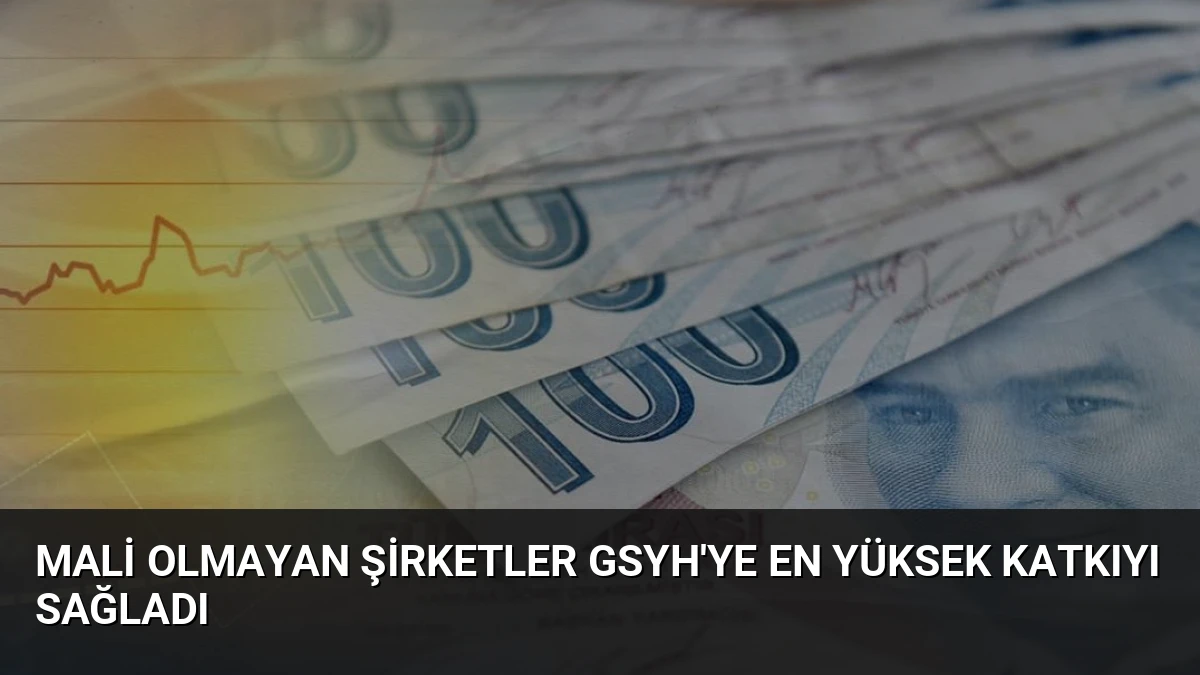 Mali Olmayan Şirketler GSYH’ye En Yüksek Katkıyı Sağladı