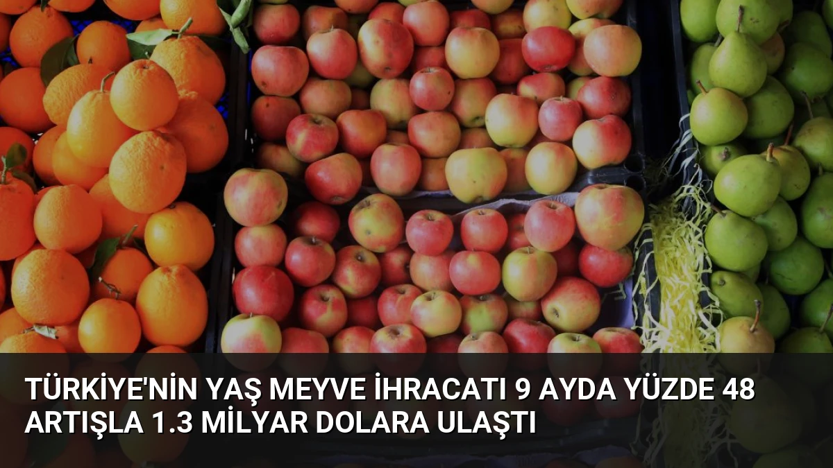 Türkiye’nin Yaş Meyve İhracatı 9 Ayda Yüzde 48 Artışla 1.3 Milyar Dolara Ulaştı